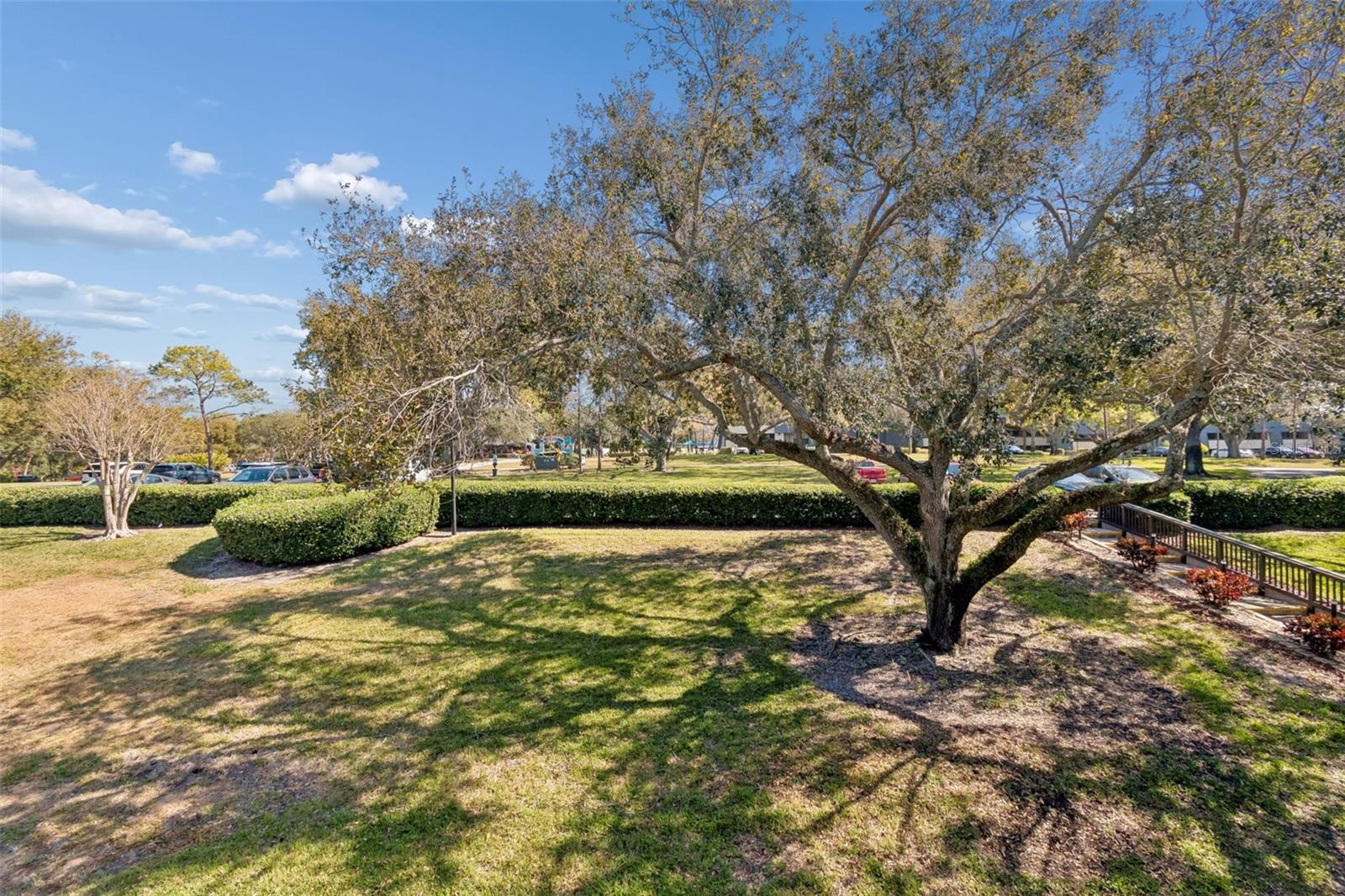 Image 24 of 70 For 36750 Us Highway 19 N 16210