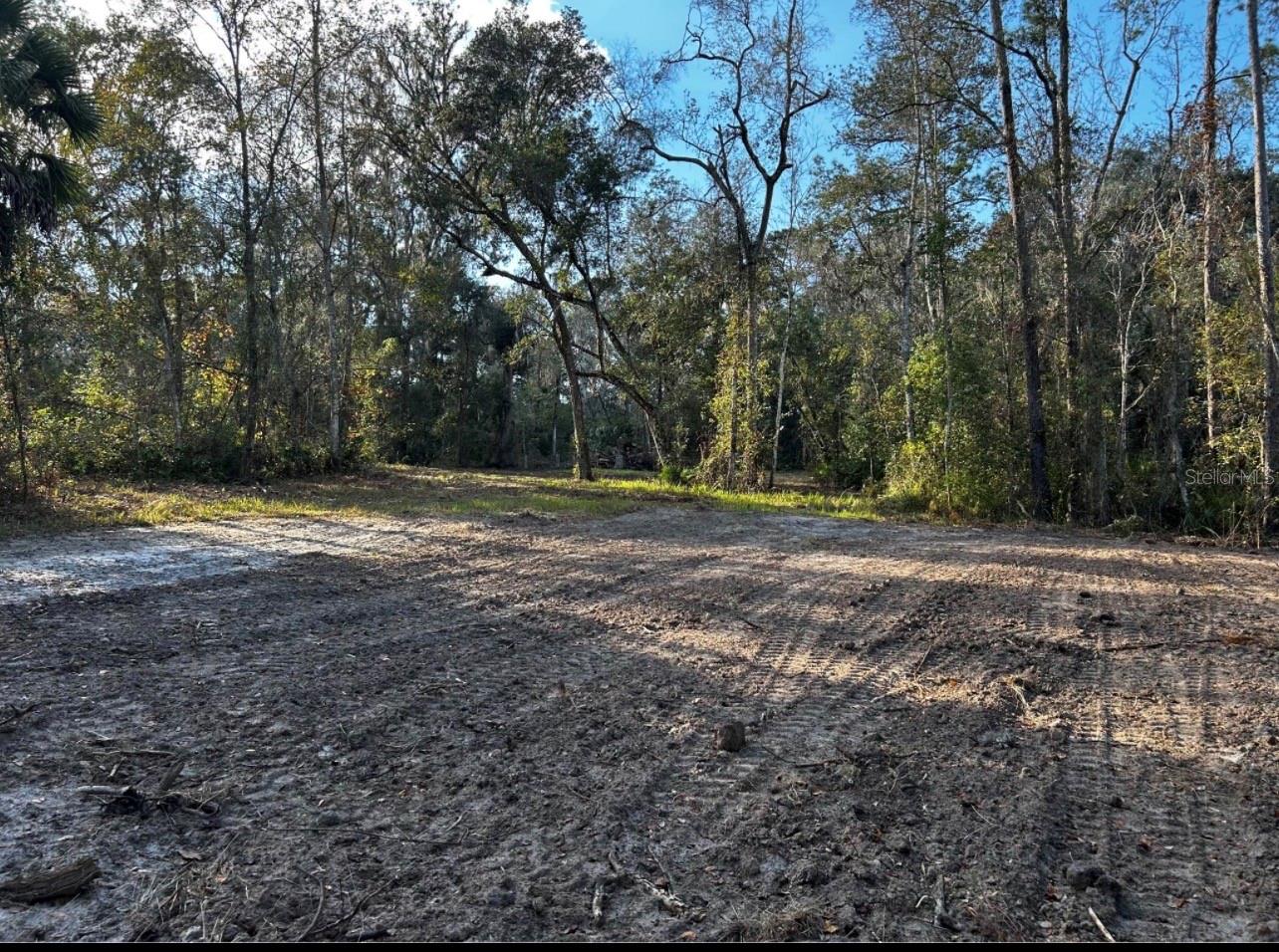 Image 2 of 9 For 4503 Cedar Lane