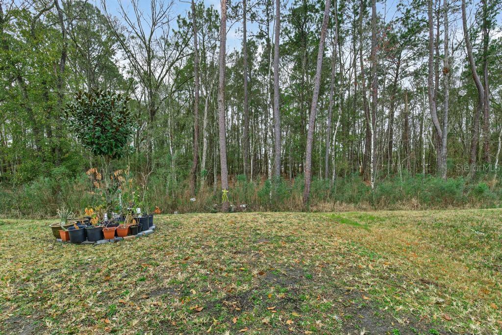 Image 74 of 74 For 2929 Lucille Lane