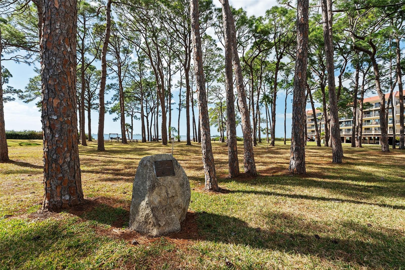 Image 33 of 52 For 2700 Bayshore Boulevard 4106