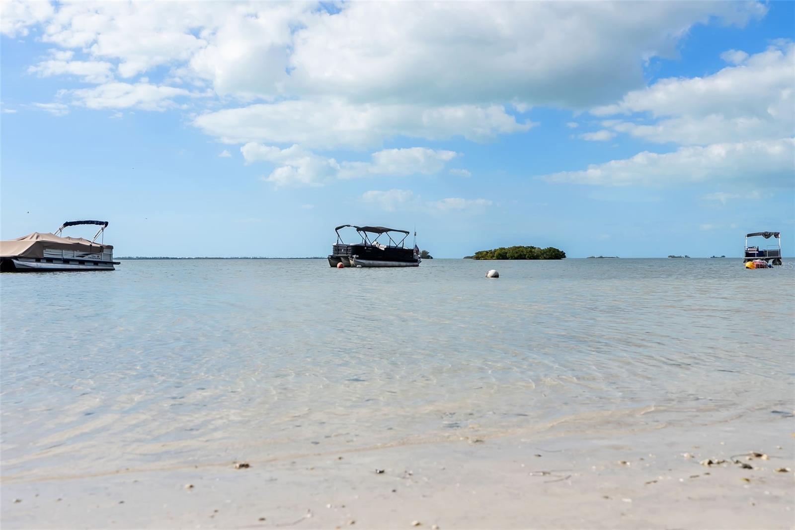 Image 37 of 52 For 2700 Bayshore Boulevard 4106