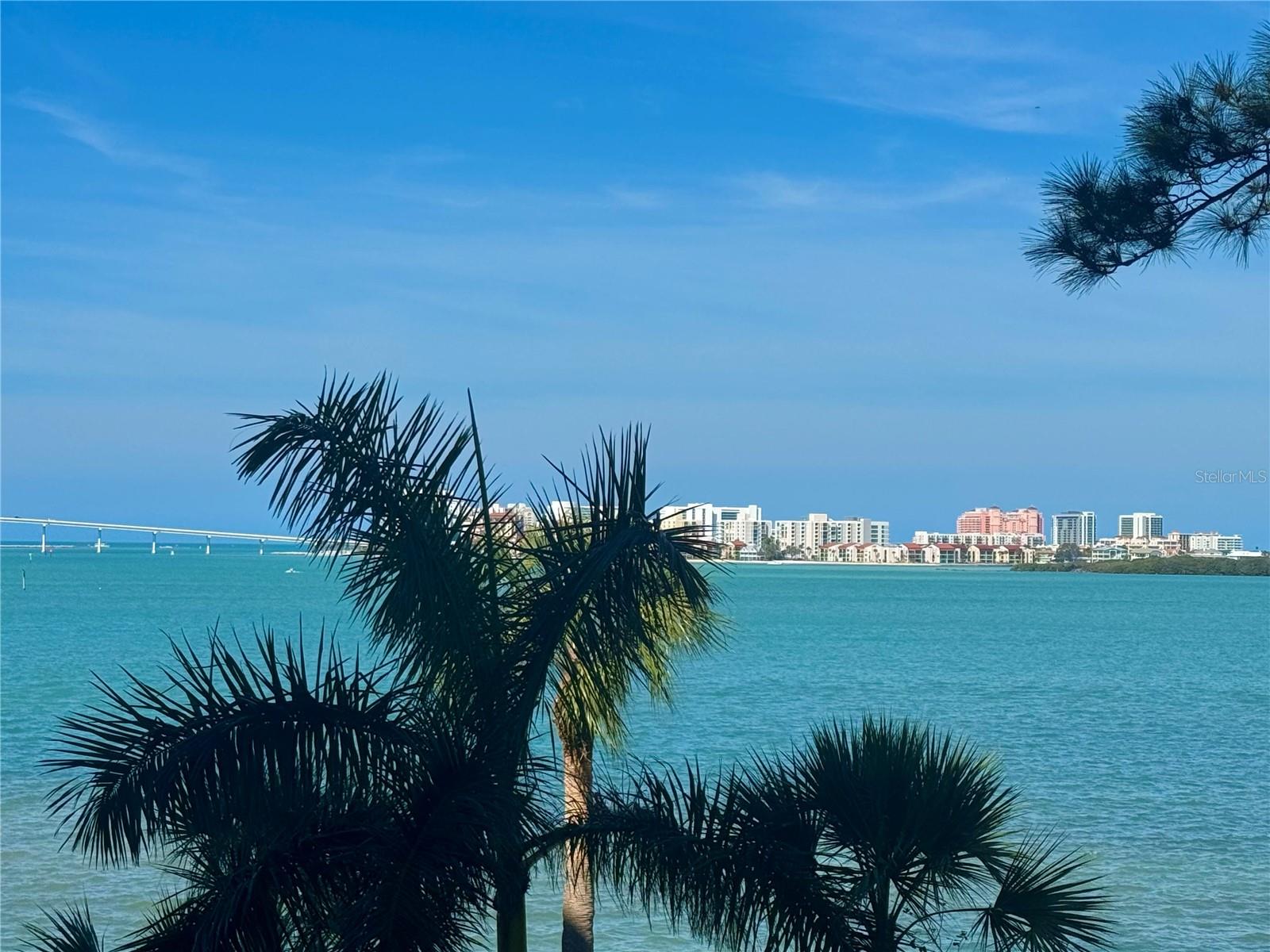 Image 4 of 46 For 602 Lime Avenue 203