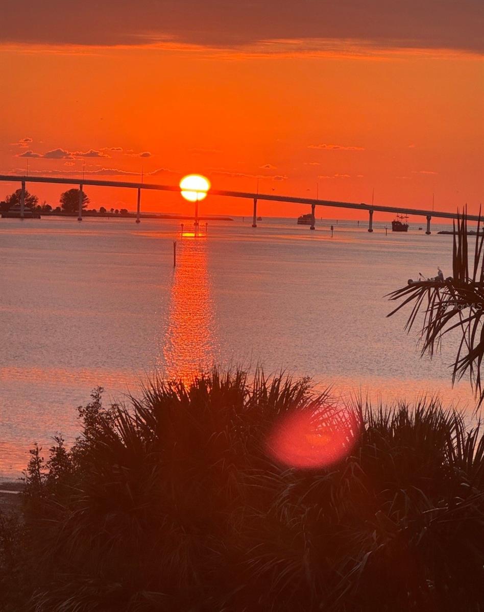 Image 44 of 46 For 602 Lime Avenue 203