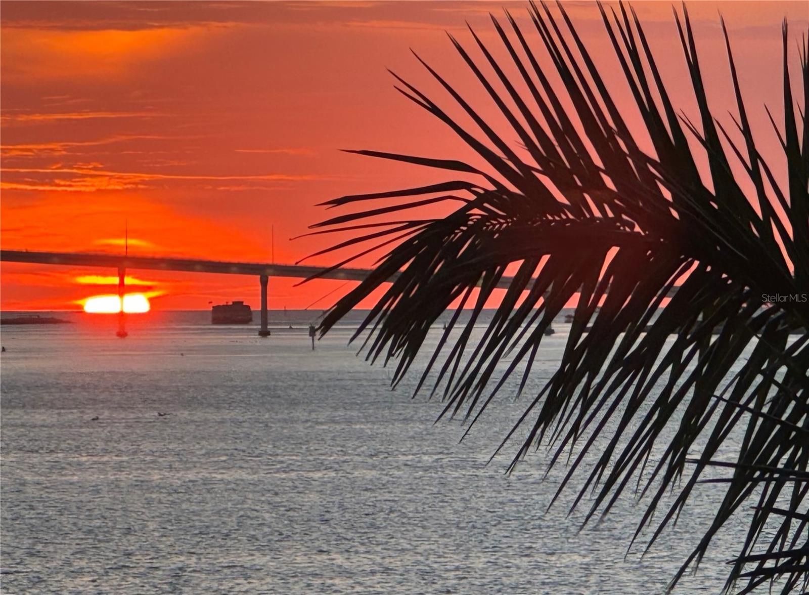 Image 45 of 46 For 602 Lime Avenue 203