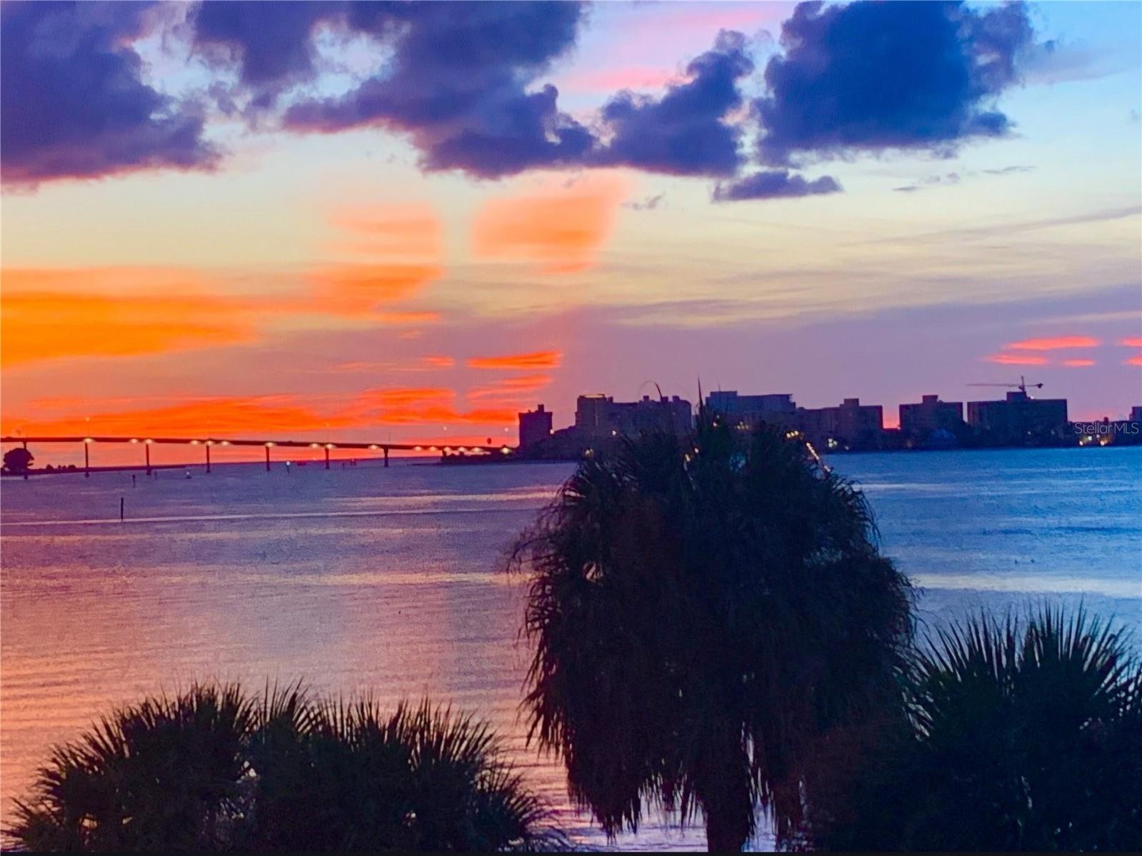 Image 46 of 46 For 602 Lime Avenue 203