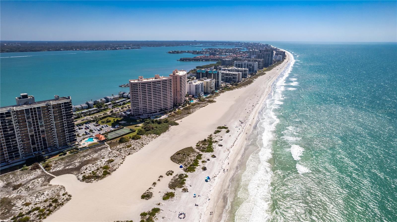 Image 32 of 53 For 1250 Gulf Boulevard 703