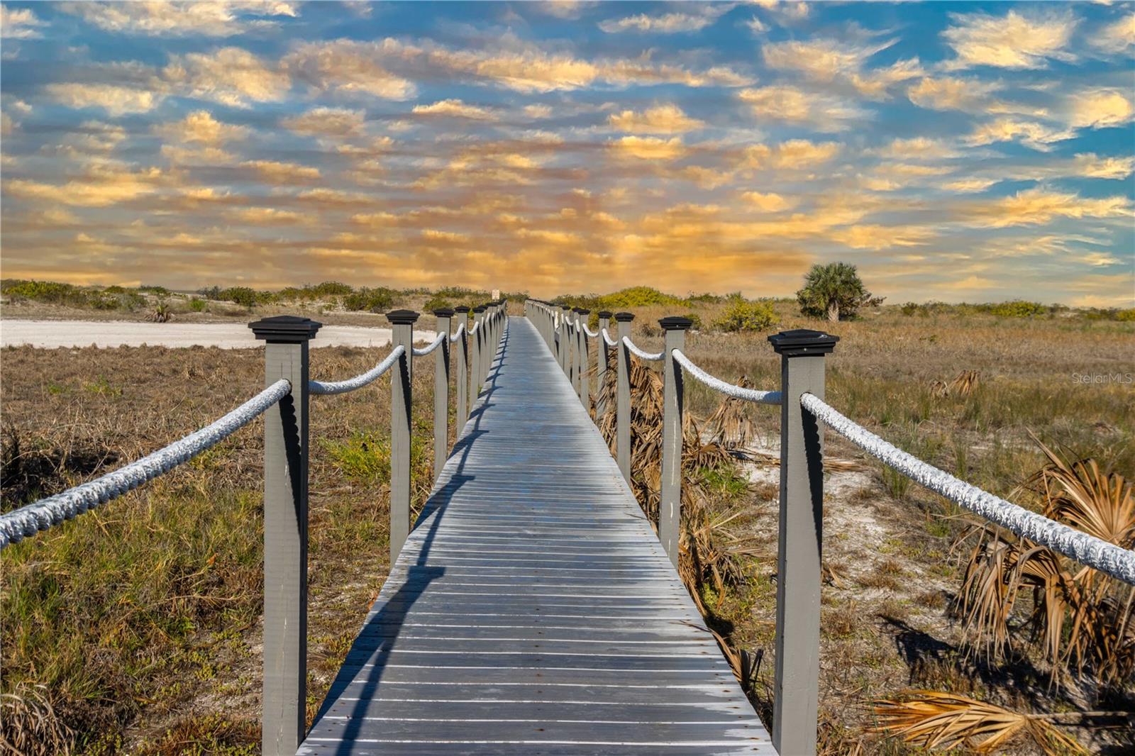 Image 38 of 53 For 1250 Gulf Boulevard 703