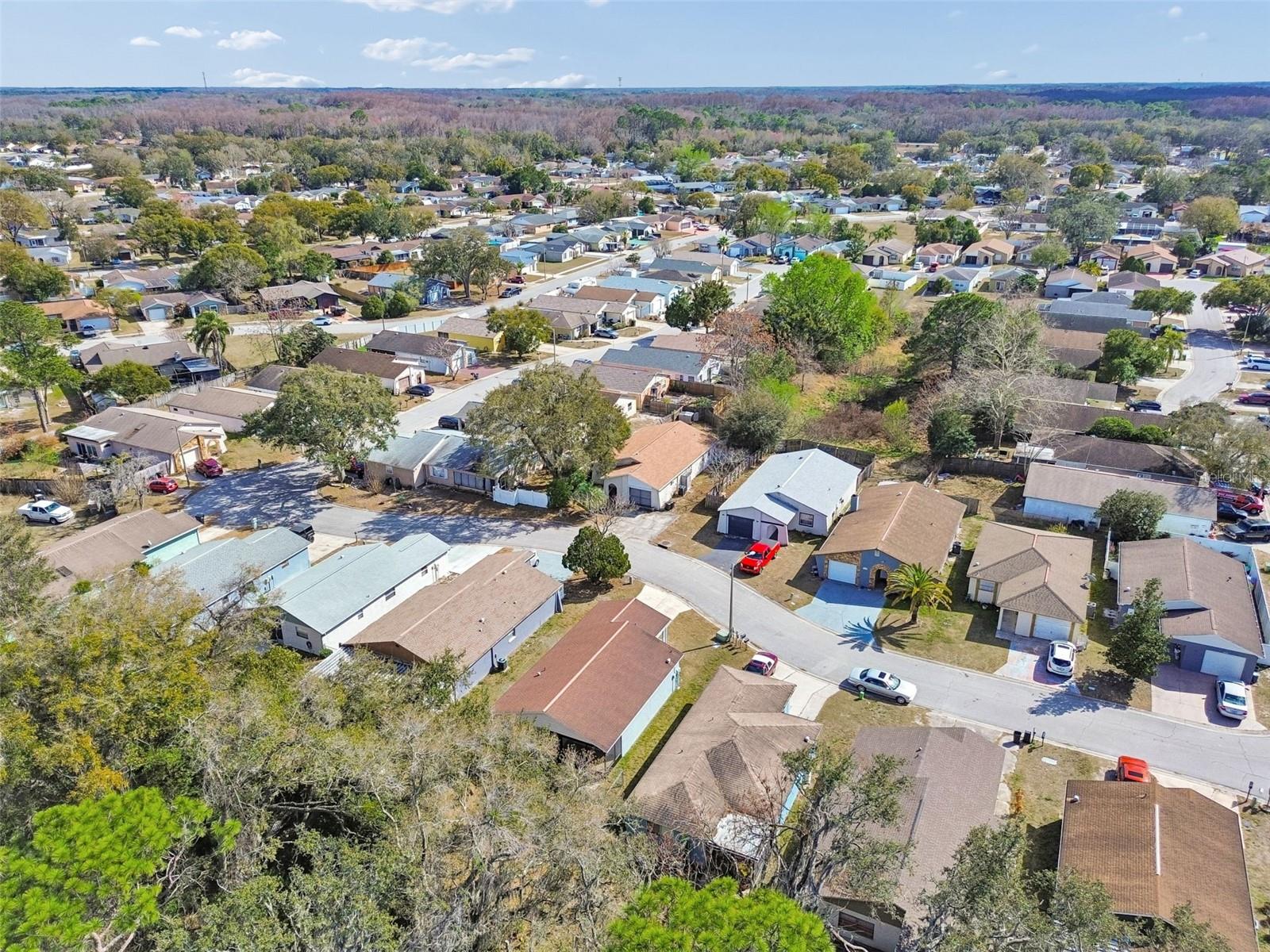 Image 20 of 43 For 12836 Kellywood Circle