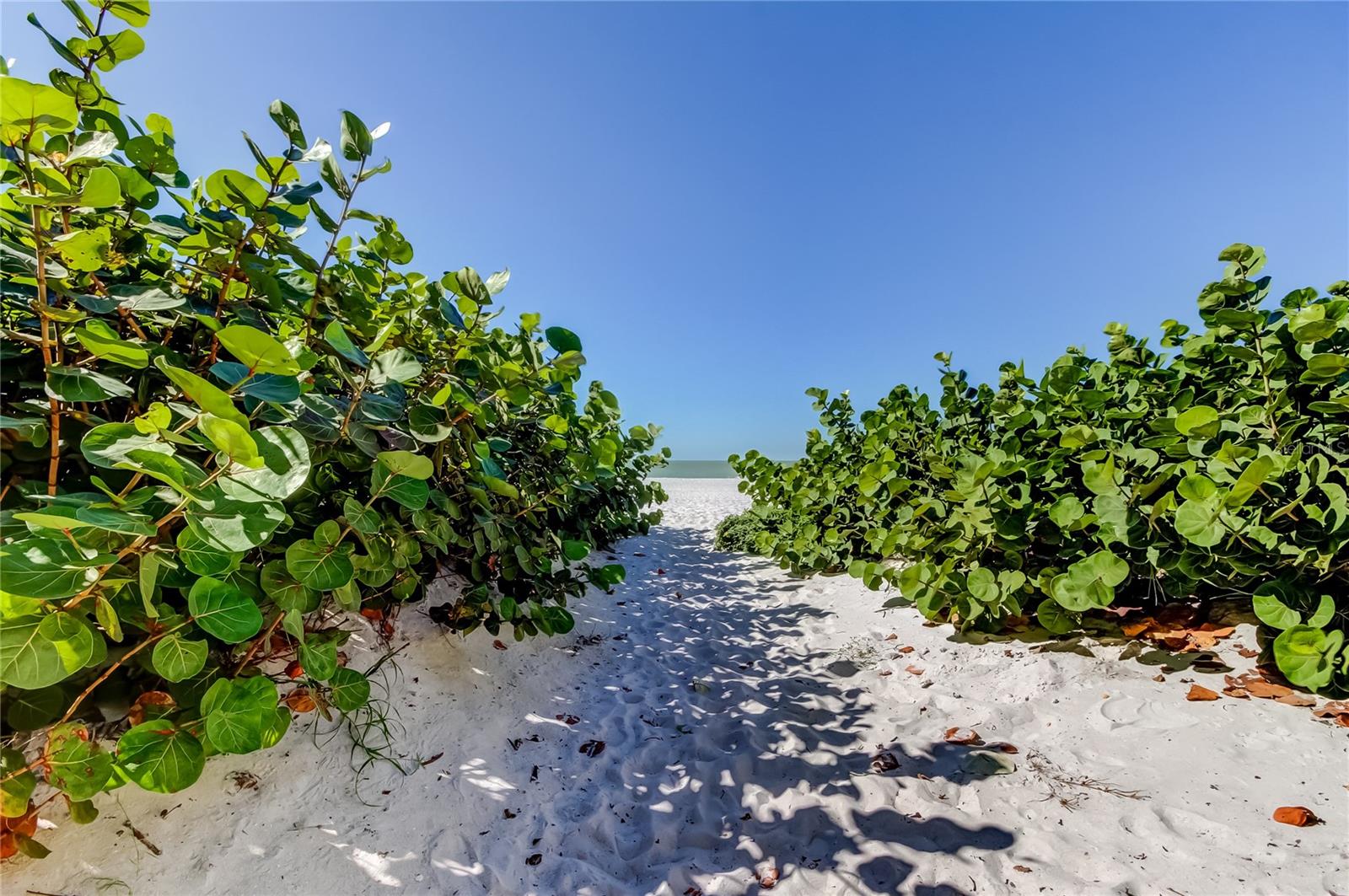 Image 39 of 40 For 19530 Gulf Boulevard 4b