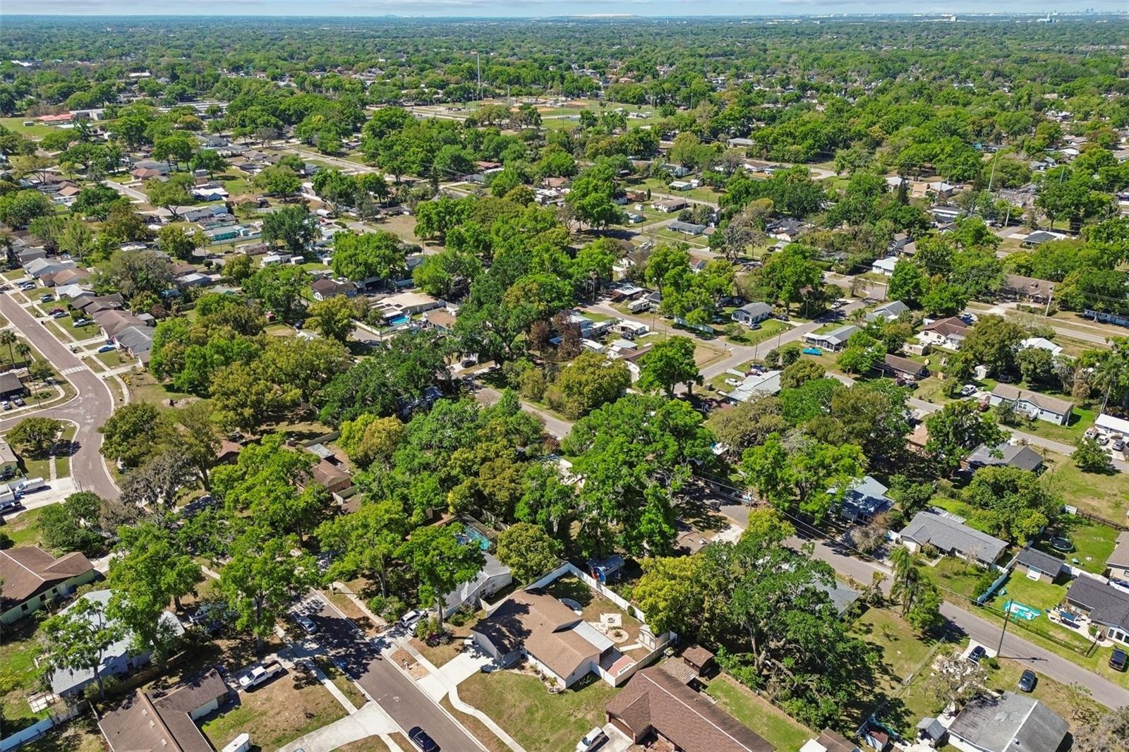 Listing photo id 59 for 2505 Linden Tree Street