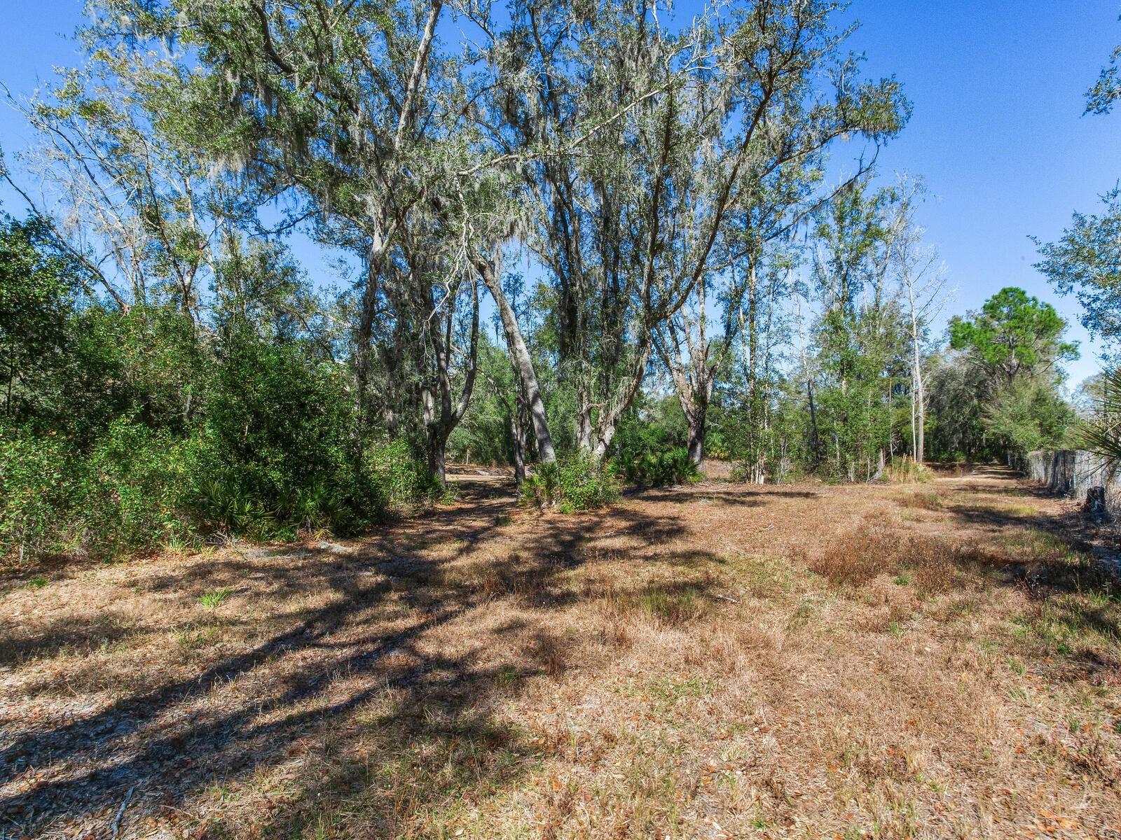 Image 10 of 19 For 8602 Back Road