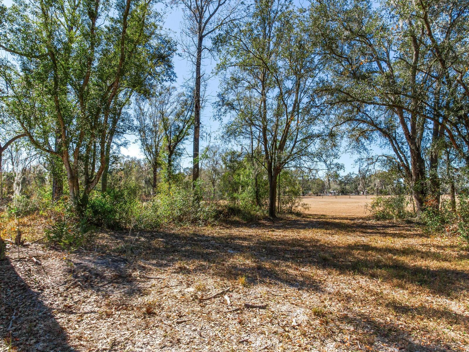 Image 11 of 19 For 8602 Back Road