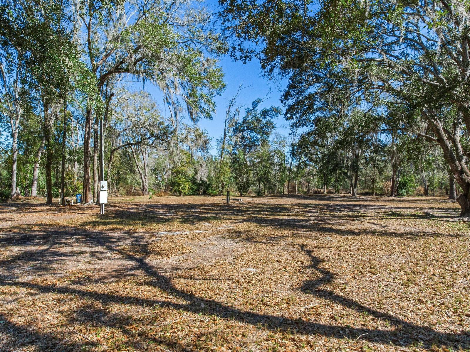 Image 12 of 19 For 8602 Back Road