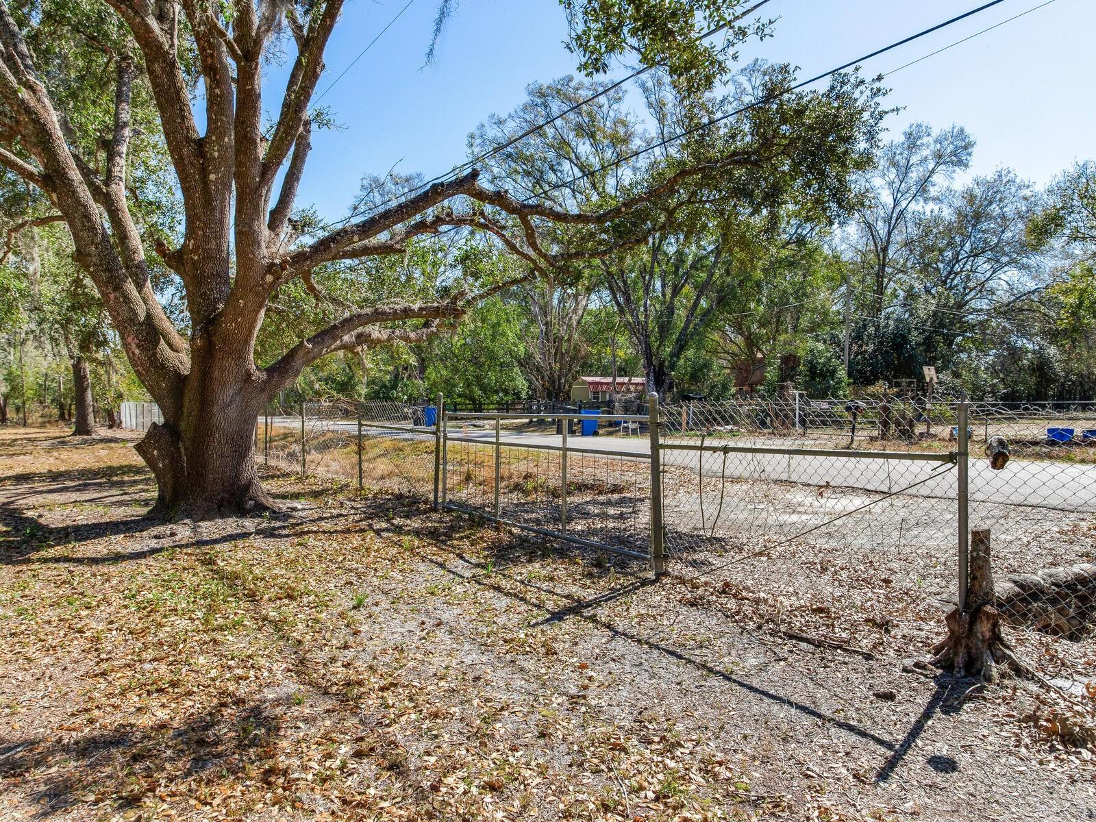 Image 17 of 19 For 8602 Back Road