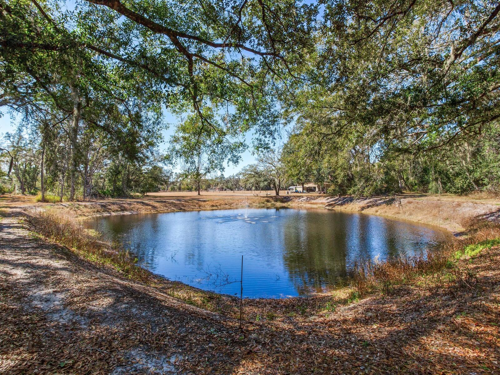 Image 6 of 19 For 8602 Back Road