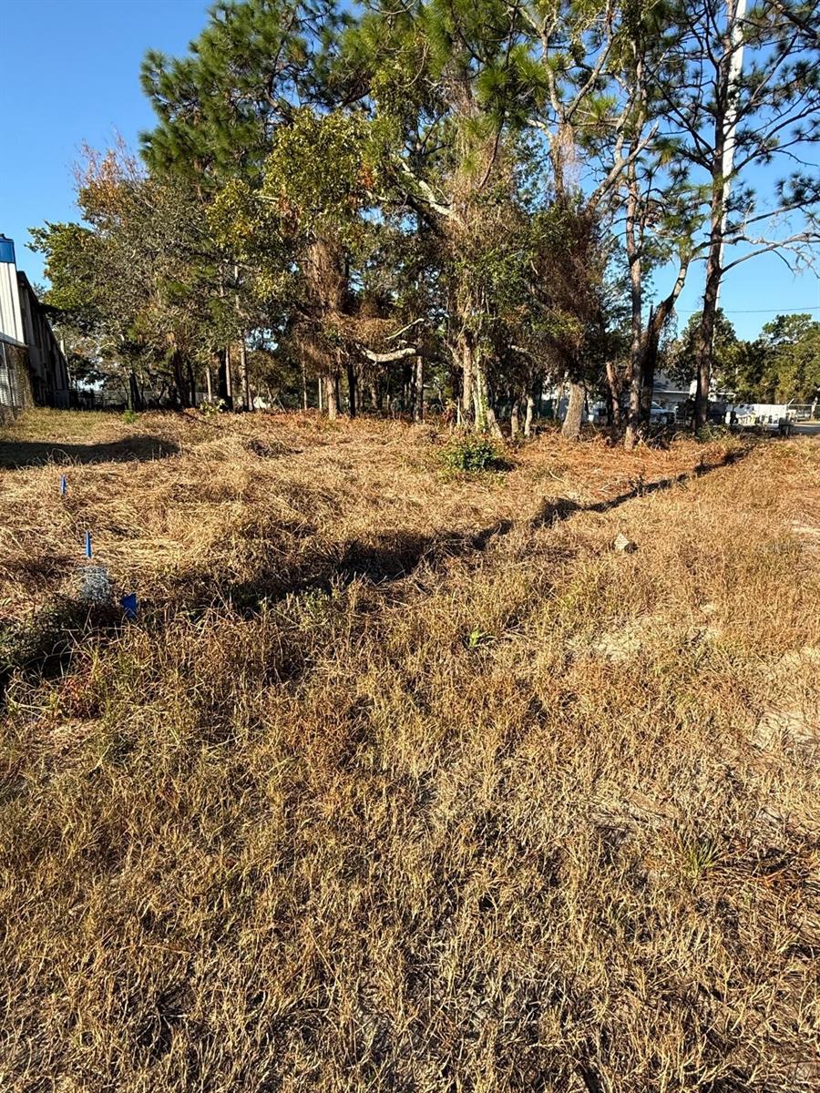 Details for 13786 Linden Drive, Spring Hill, FL 34609