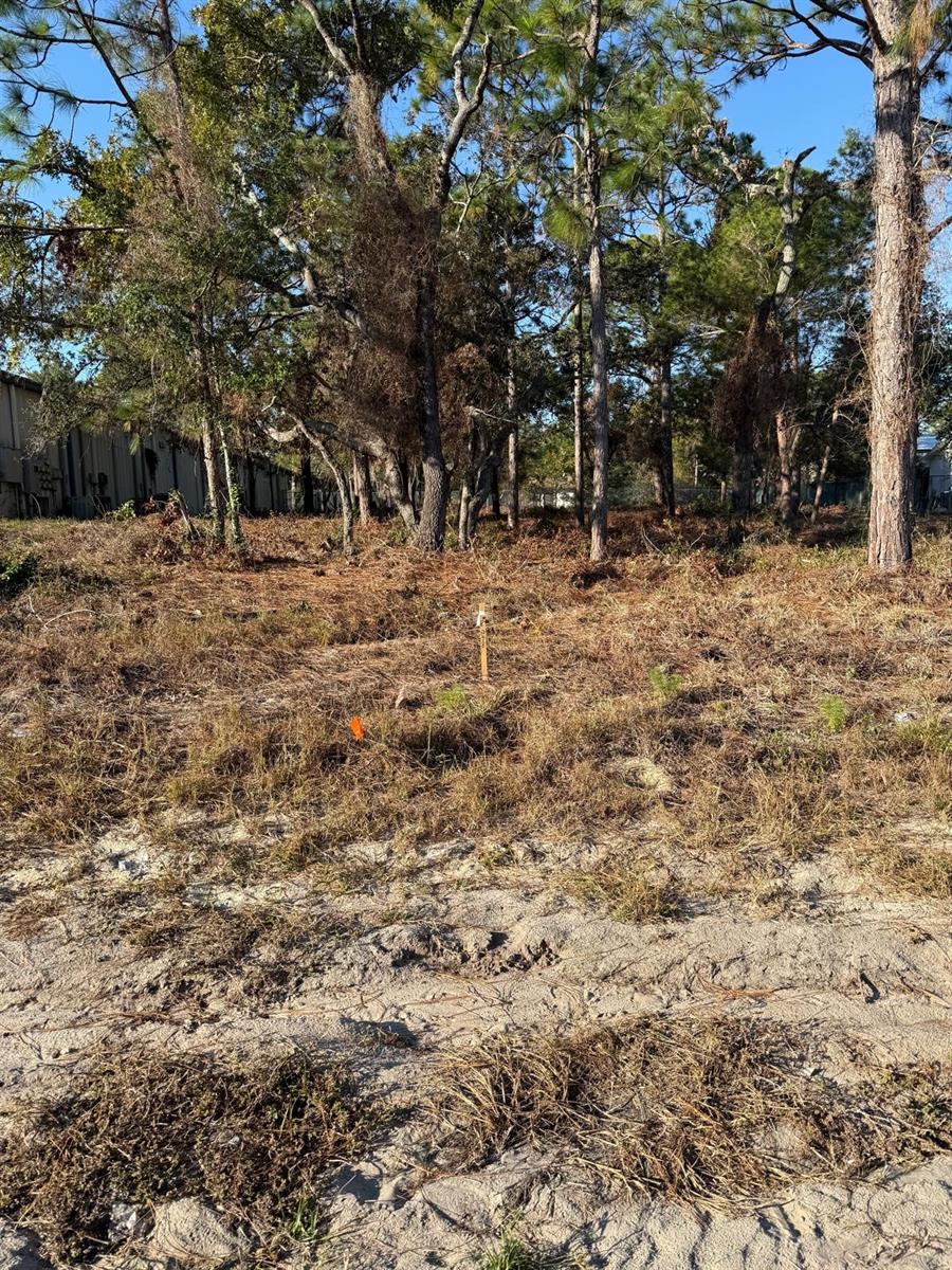 Image 2 of 4 For 13786 Linden Drive