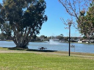 Image 13 of 16 For 11009 Summer Drive