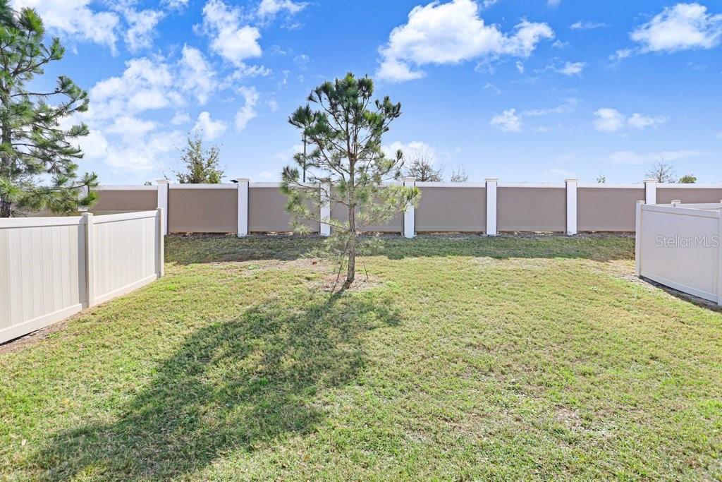 Image 25 of 54 For 31398 Mango Fade Way