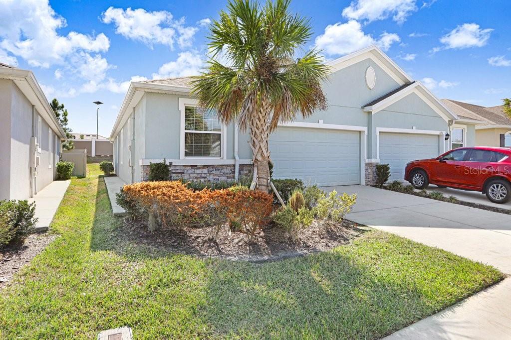 Image 27 of 54 For 31398 Mango Fade Way