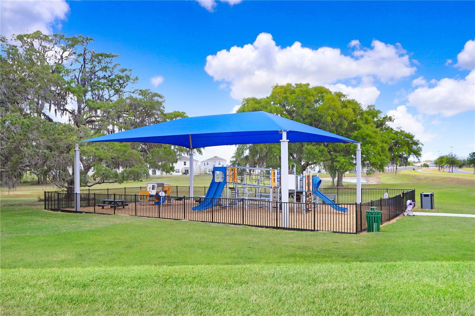 Image 29 of 54 For 31398 Mango Fade Way