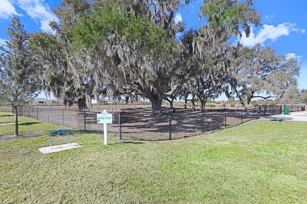 Image 53 of 54 For 31398 Mango Fade Way