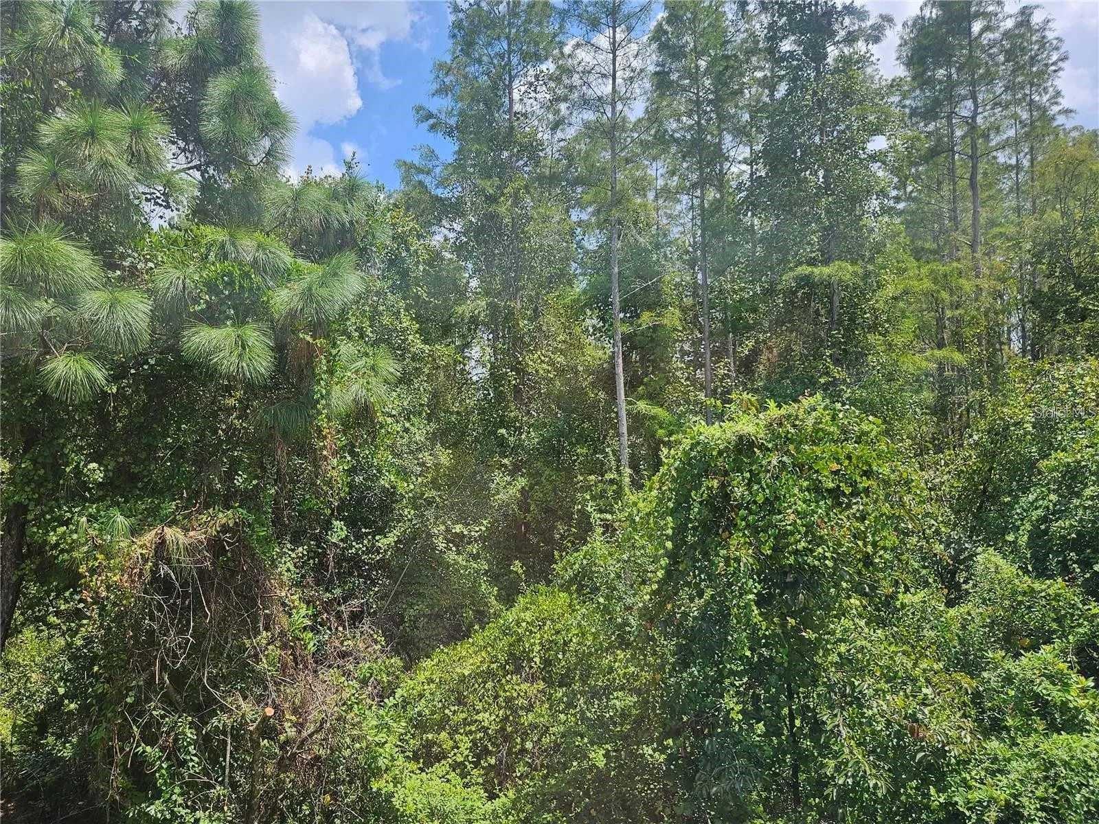 Image 35 of 46 For 1120 Blackwater Drive