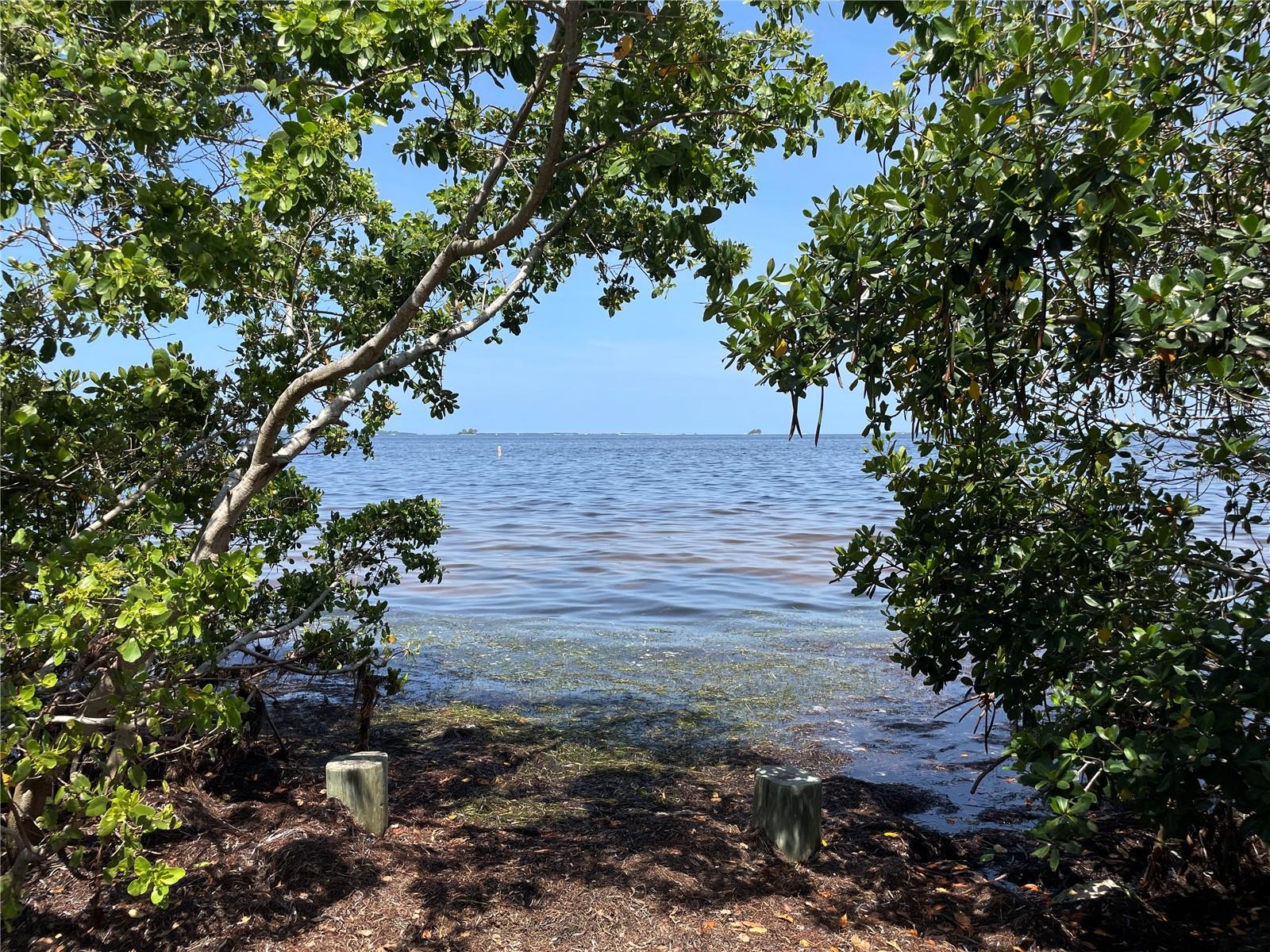 Listing photo id 36 for 606 Mayo Street