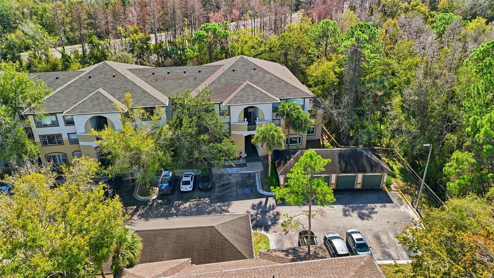 Details for 17106 Carrington Park Drive 623, TAMPA, FL 33647