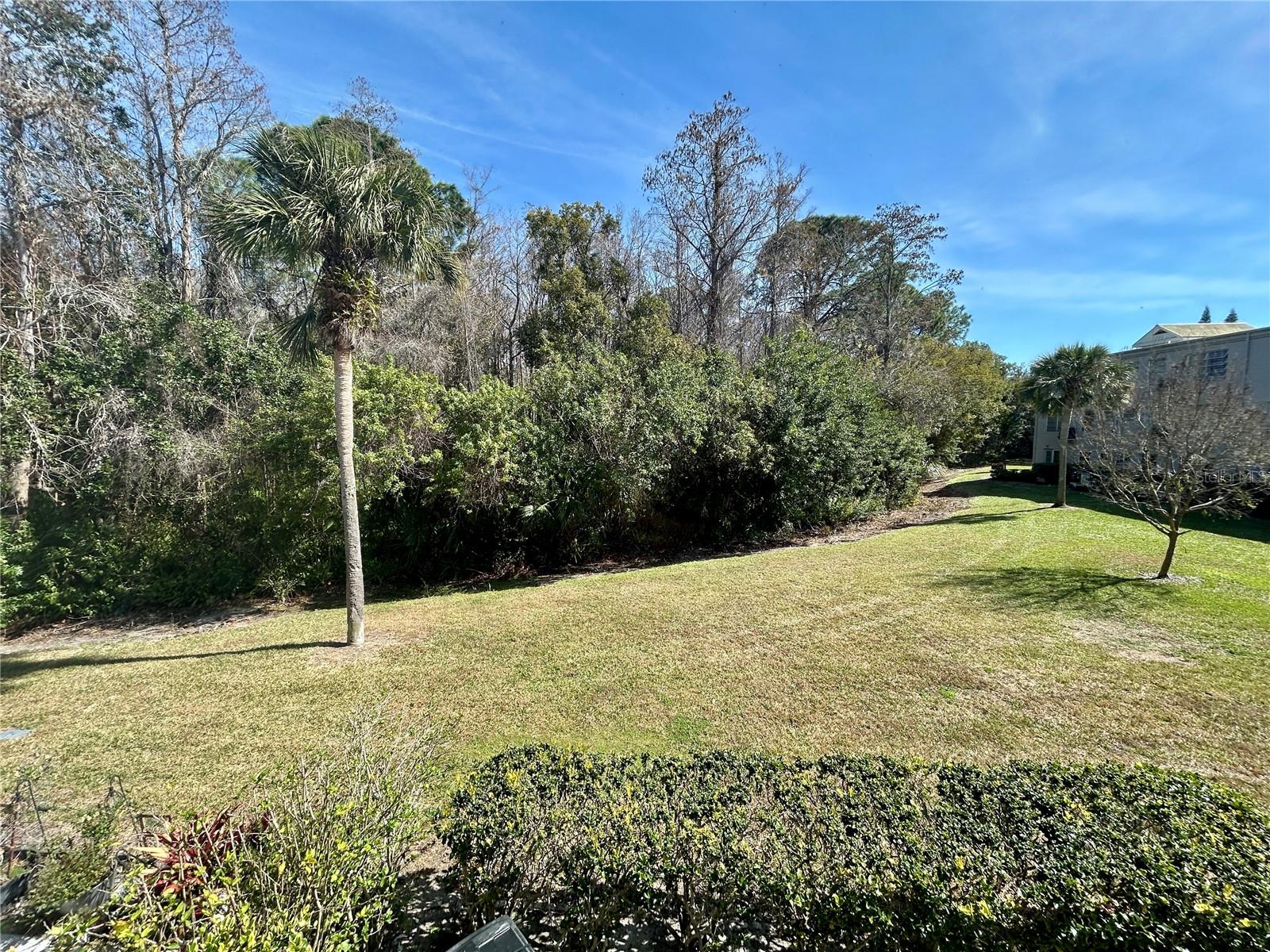 Image 22 of 59 For 2461 Rhodesian Drive 31