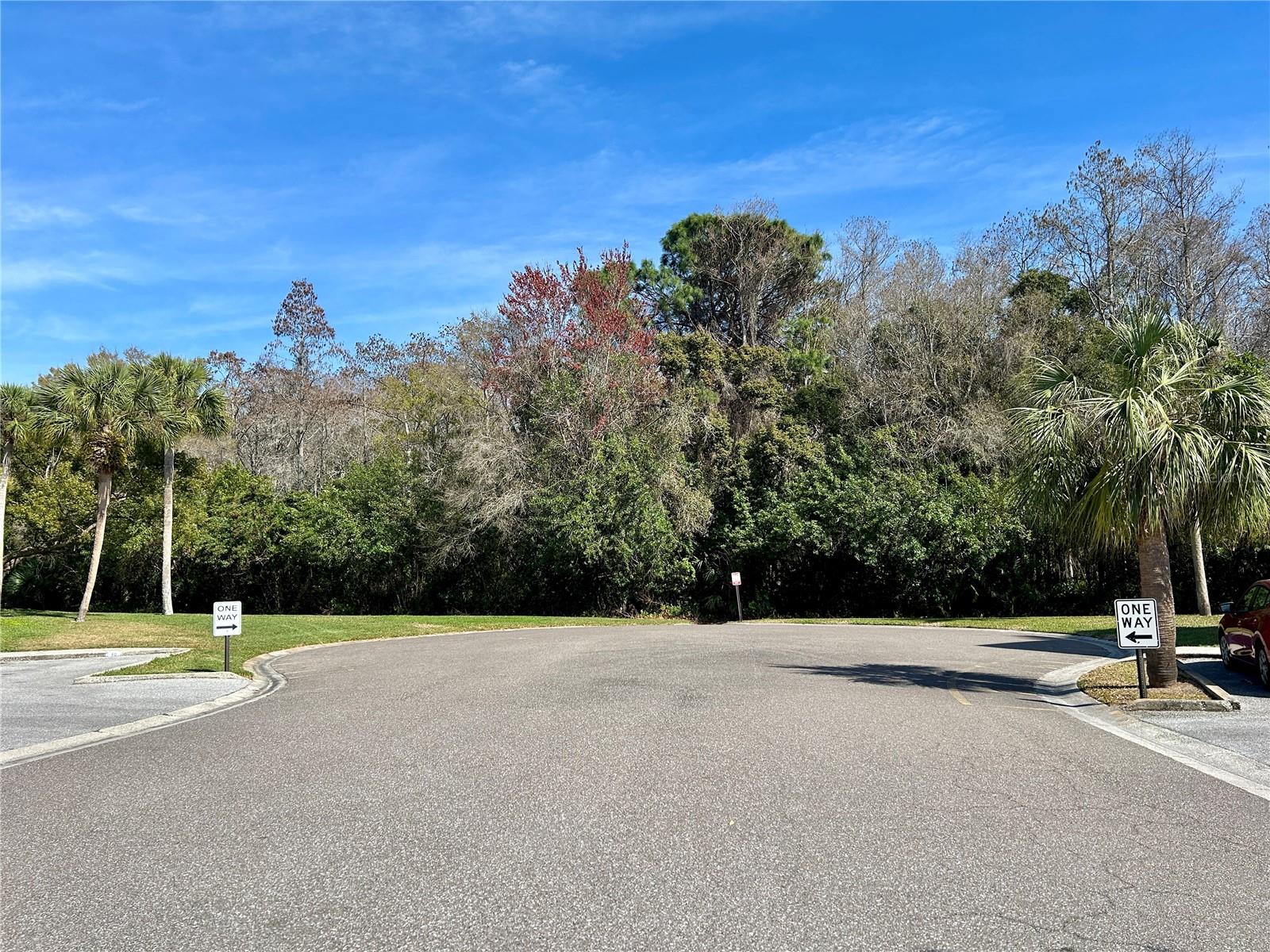 Image 38 of 59 For 2461 Rhodesian Drive 31