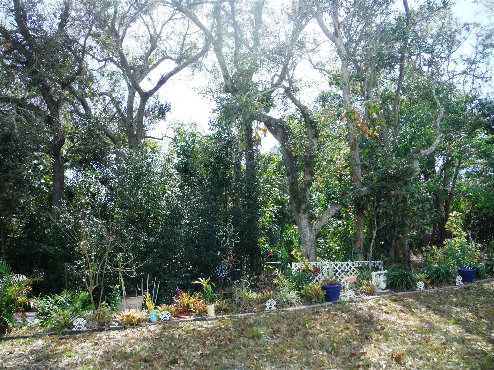 Image 2 of 41 For 124 Juniperus Drive 45