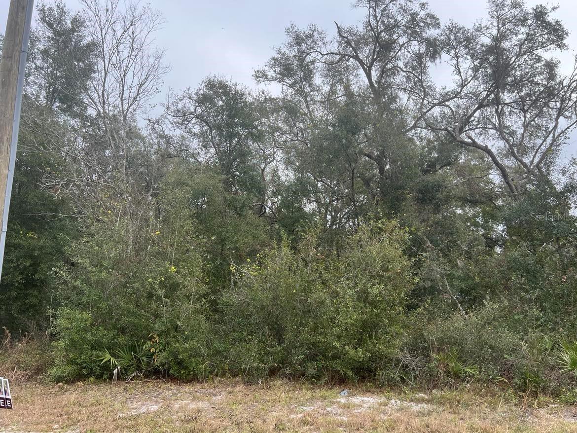 Image 3 of 6 For 7466 Treiman Boulevard