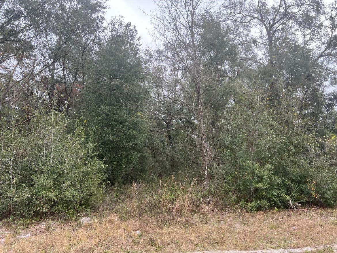 Image 5 of 6 For 7466 Treiman Boulevard