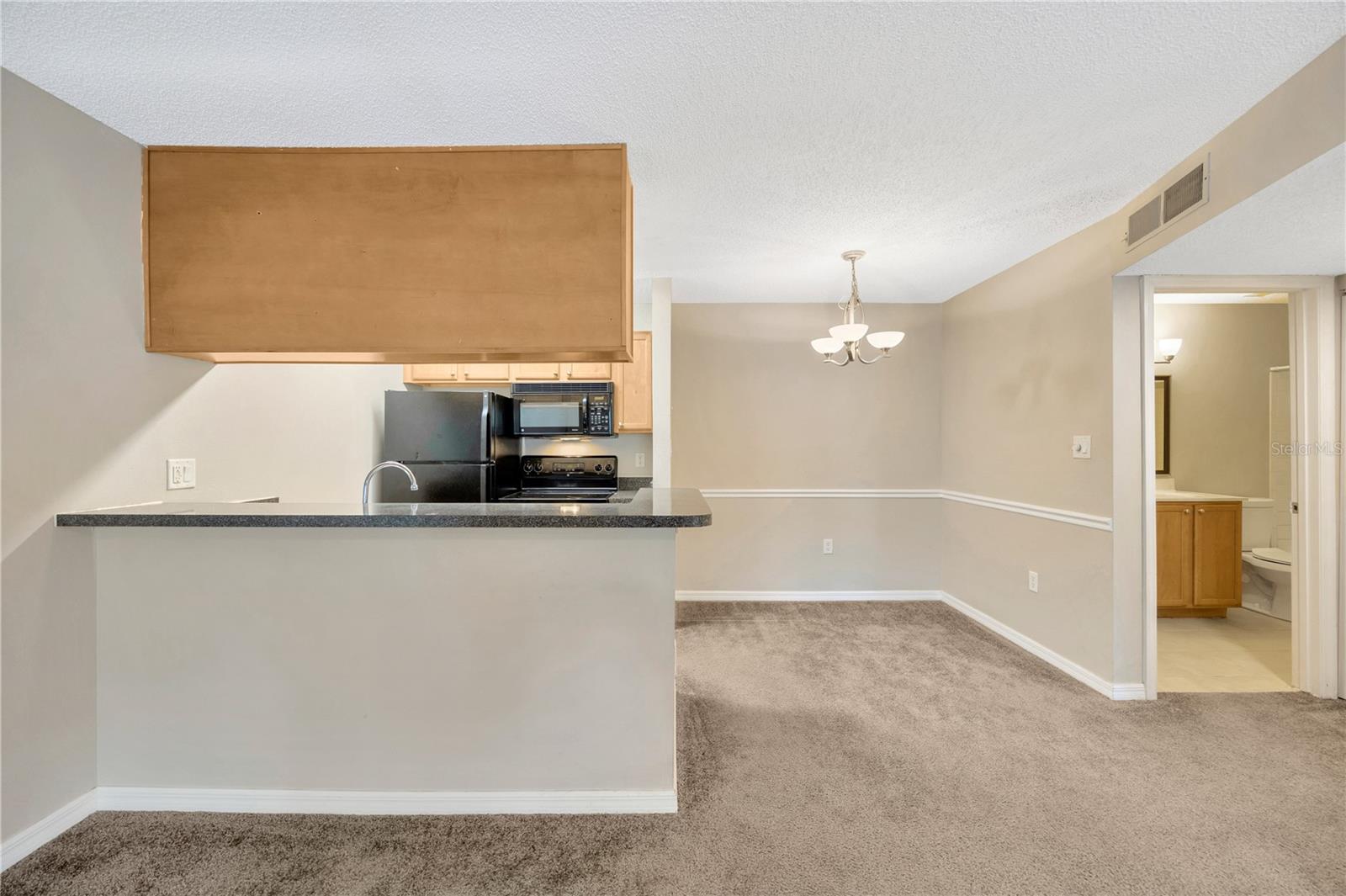 Image 5 of 38 For 308 Lake Parsons Green 102