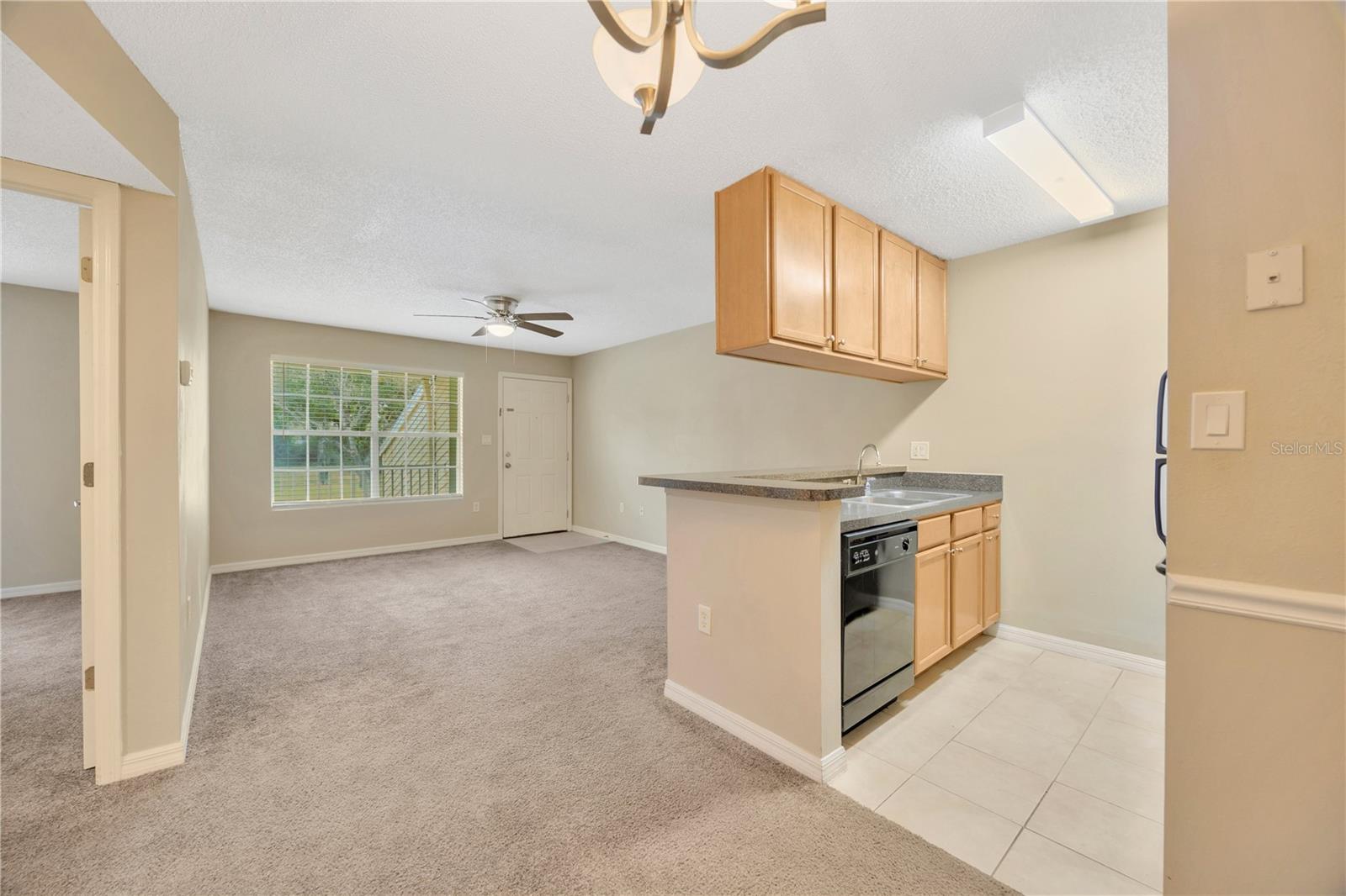 Image 6 of 38 For 308 Lake Parsons Green 102