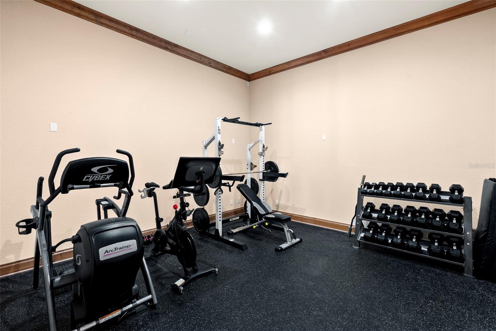 Listing photo id 45 for 9902 Menander Wood Court