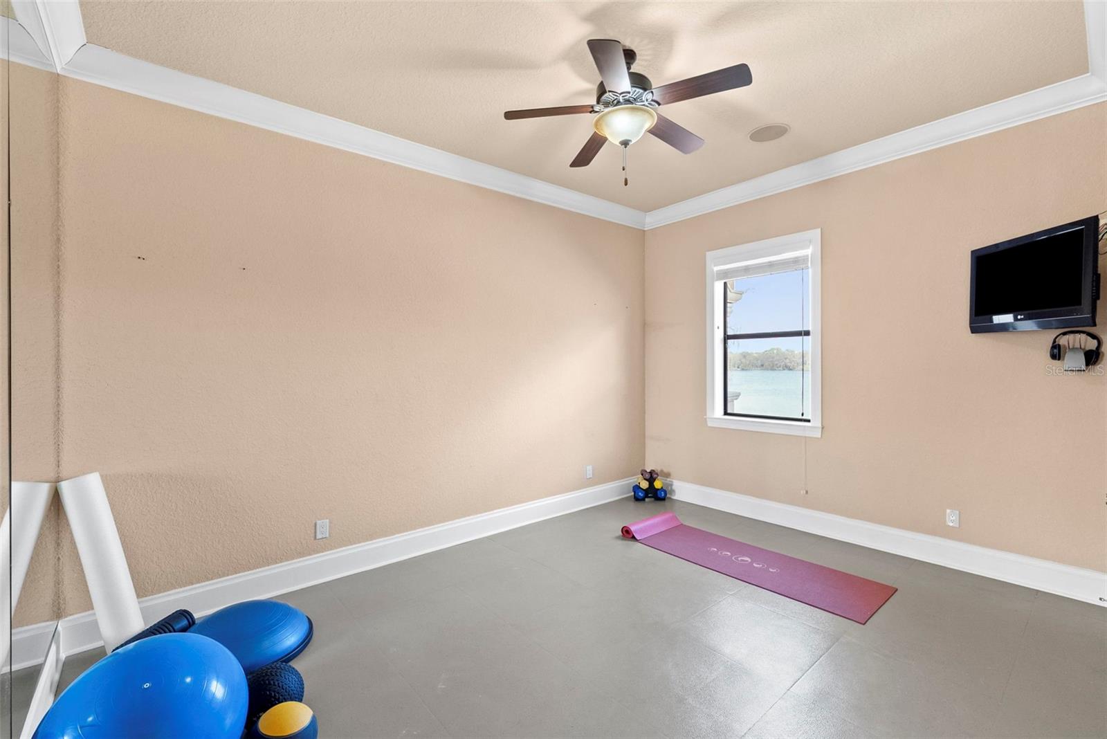 Listing photo id 67 for 9902 Menander Wood Court