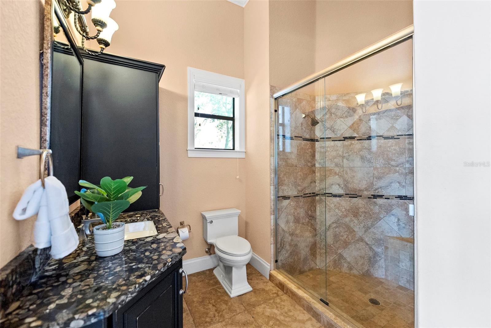 Listing photo id 79 for 9902 Menander Wood Court