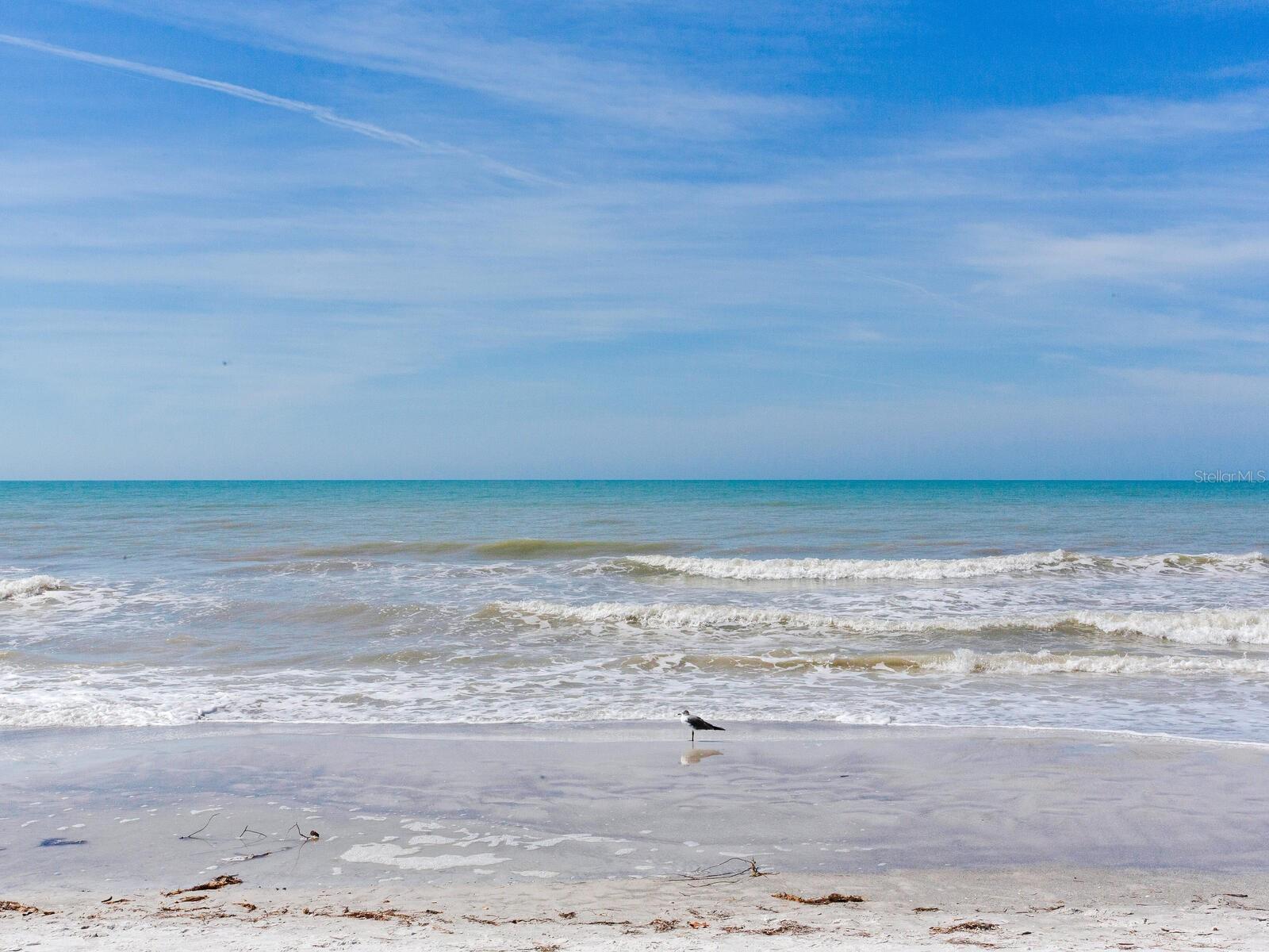 Image 51 of 69 For 19450 Gulf Boulevard 701