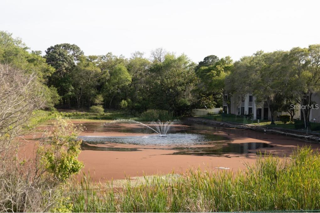 Image 16 of 17 For 2625 State Rd 590 2811