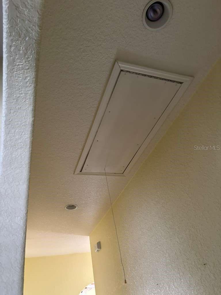 Image 36 of 75 For 3049 Laurel Street