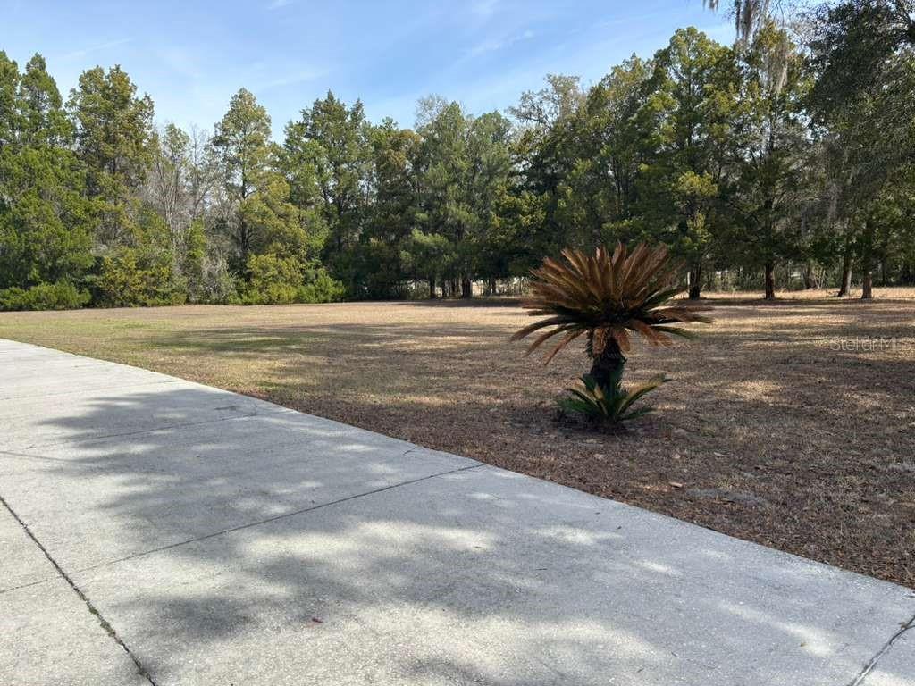 Image 68 of 75 For 3049 Laurel Street