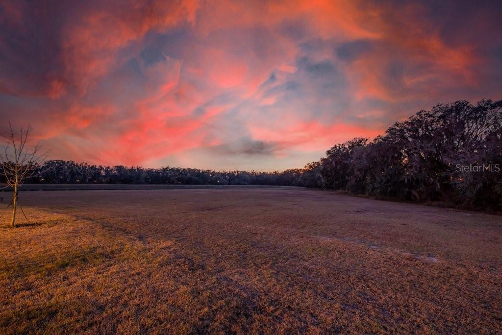 Listing photo id 1 for 14604 Horse Trot Road