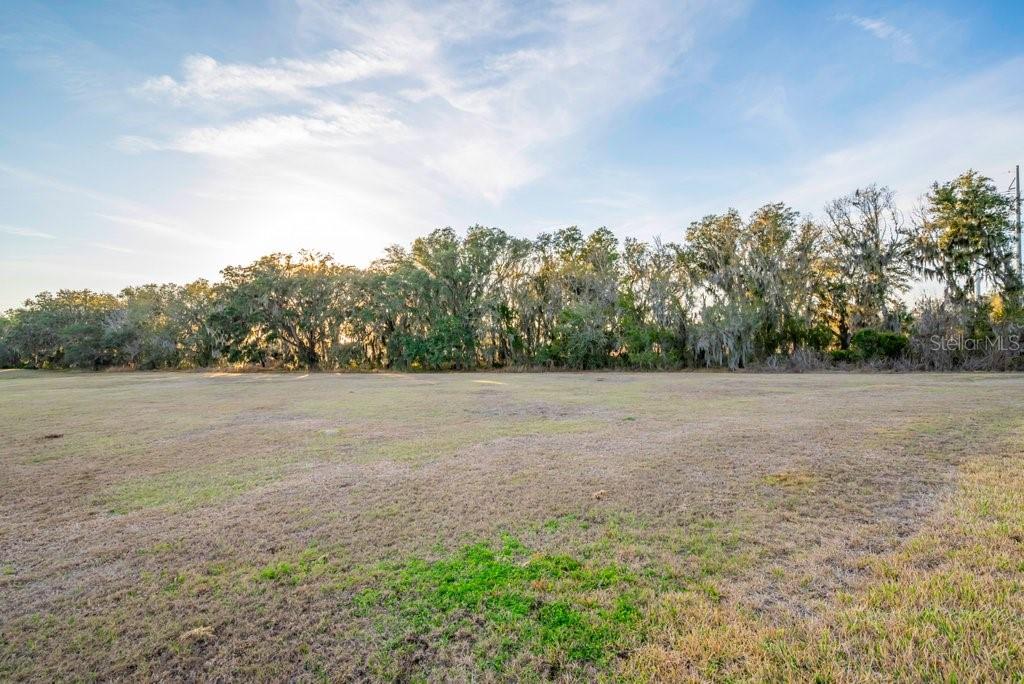 Listing photo id 38 for 14604 Horse Trot Road