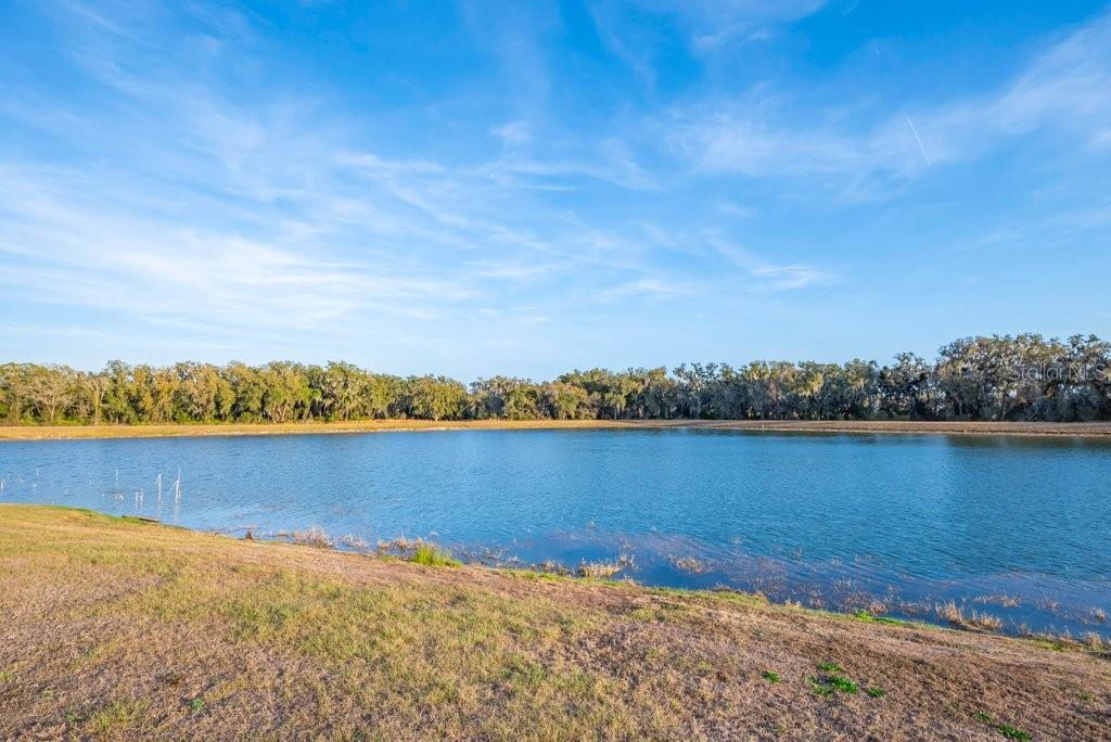 Listing photo id 39 for 14604 Horse Trot Road