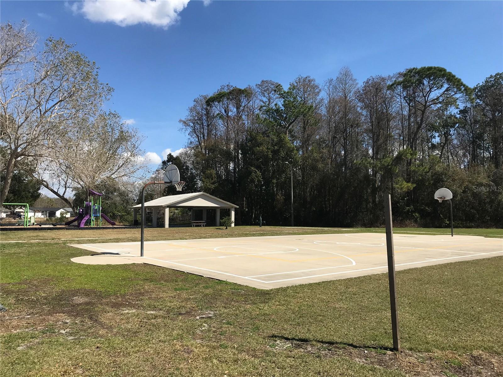 Image 63 of 64 For 5205 Ripple Creek Drive