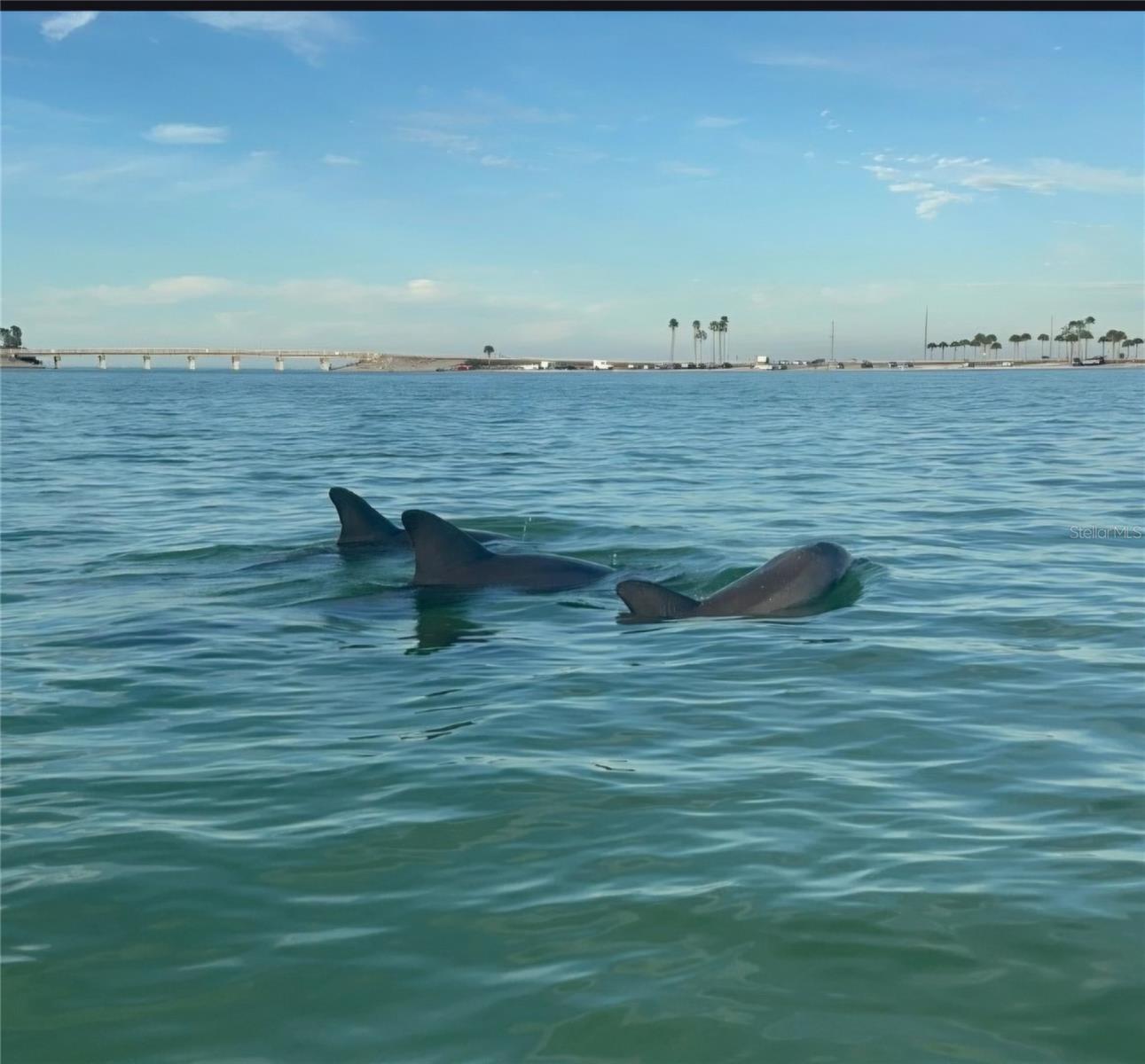 Image 80 of 87 For 6627 Tower Drive