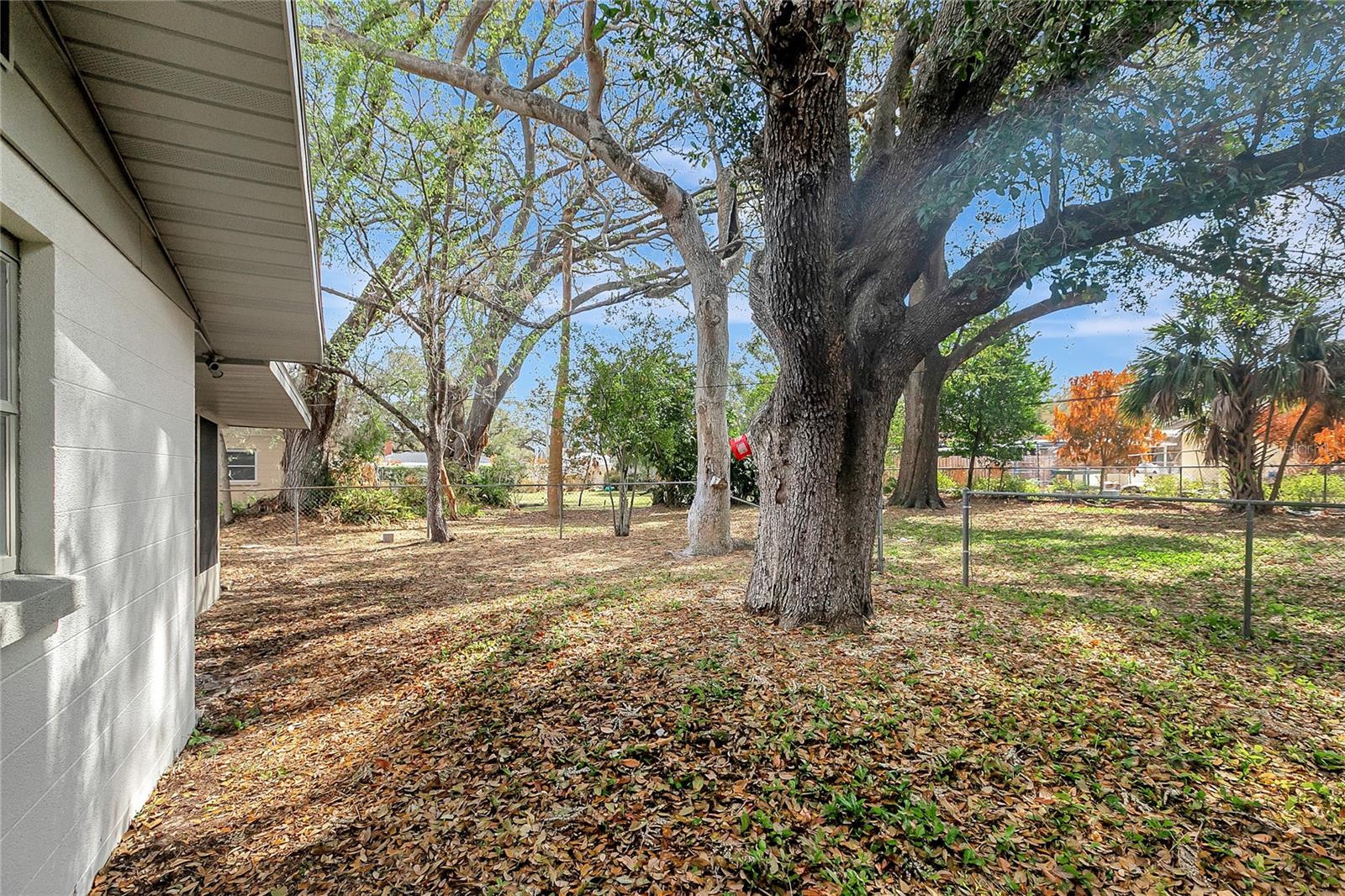 Image 28 of 33 For 534 Carole Street