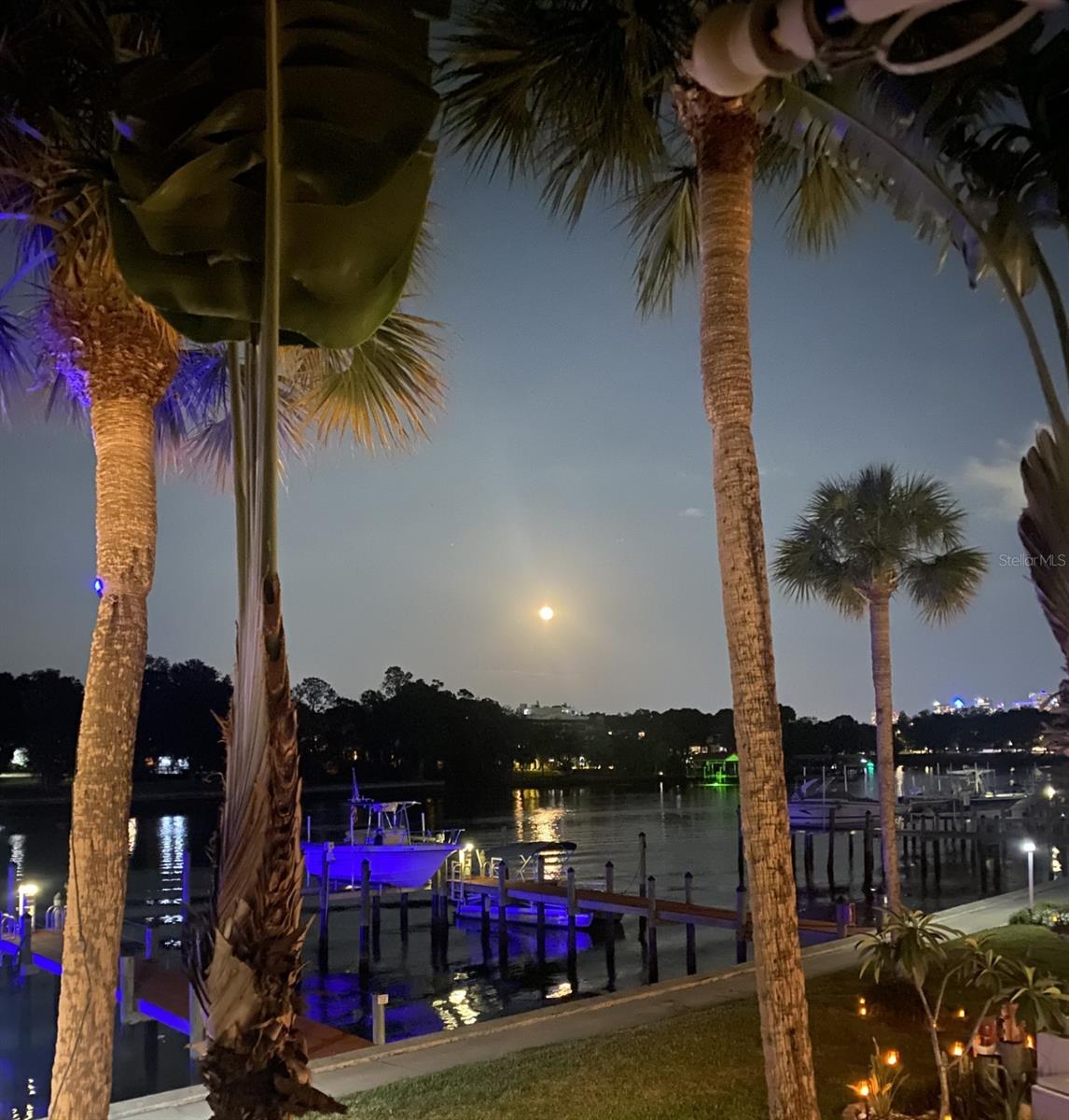 Image 18 of 25 For 2424 Tampa Bay Boulevard F103